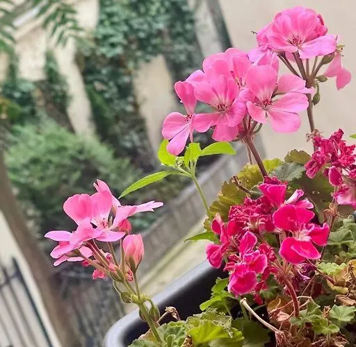 Elégant 4 Pièces Au Coeur Du Artiste * Parigi